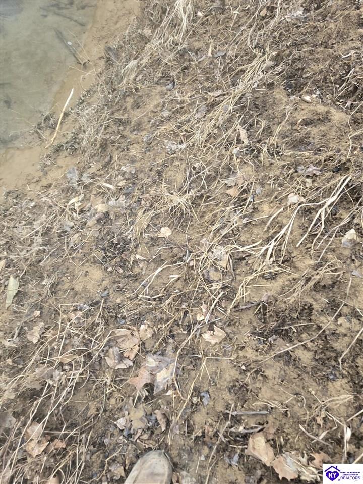 116 Ac Wand Cemetery Road Property Photo 44