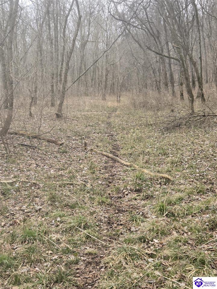 116 Ac Wand Cemetery Road Property Photo 46