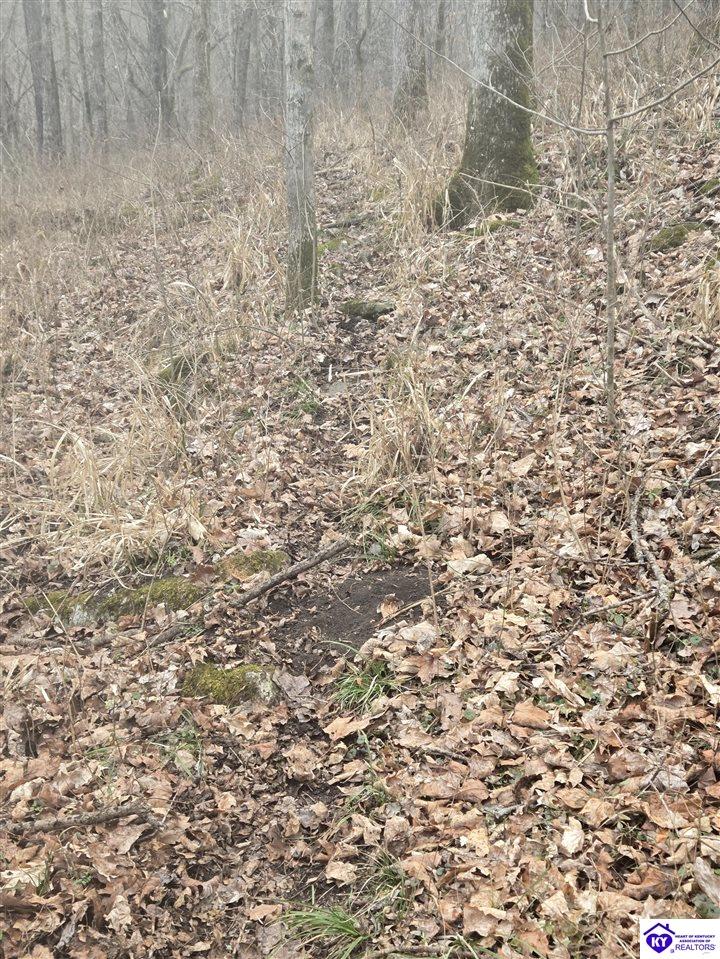 116 Ac Wand Cemetery Road Property Photo 47