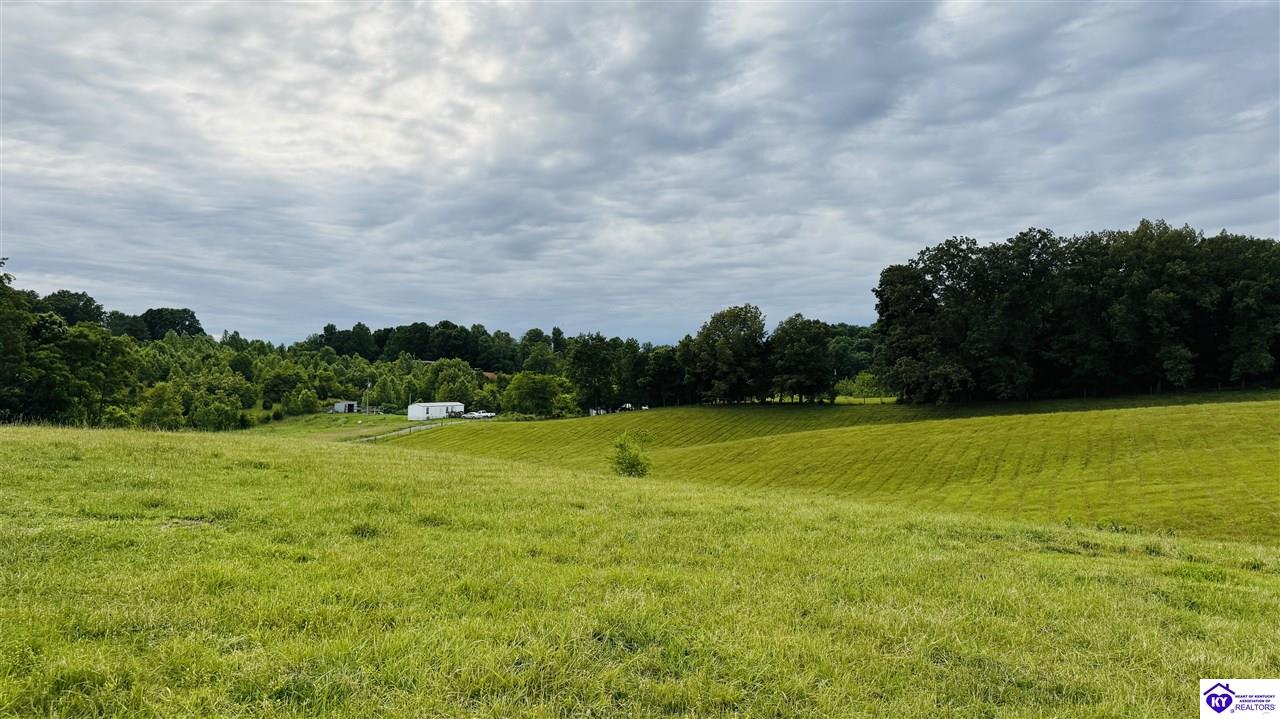 5348 Hwy 218 Property Photo 11