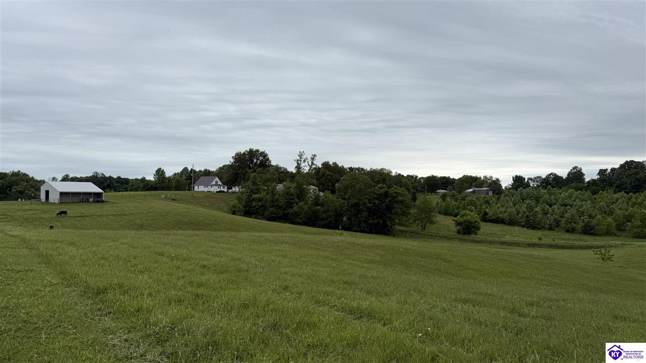 5348 Hwy 218 Property Photo 12