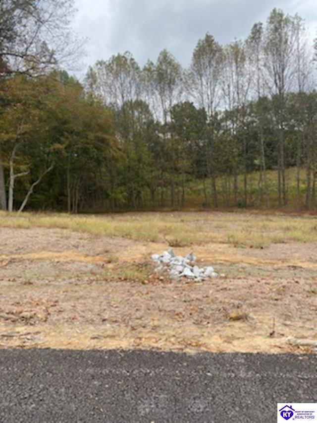 Lot 9 Still Meadow Ct Property Photo 10