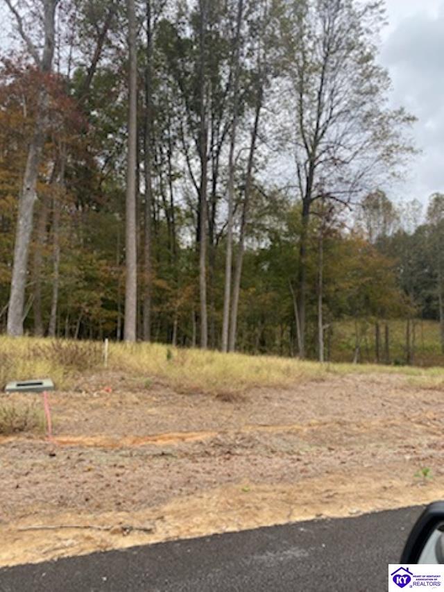 Lot 9 Still Meadow Ct Property Photo 11