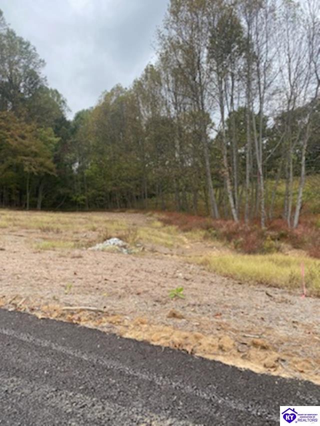 Lot 9 Still Meadow Ct Property Photo 12