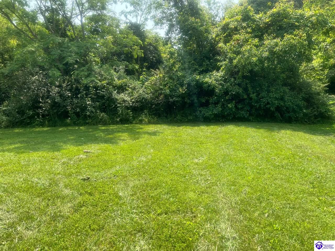 814 Conroe Drive Property Photo 4