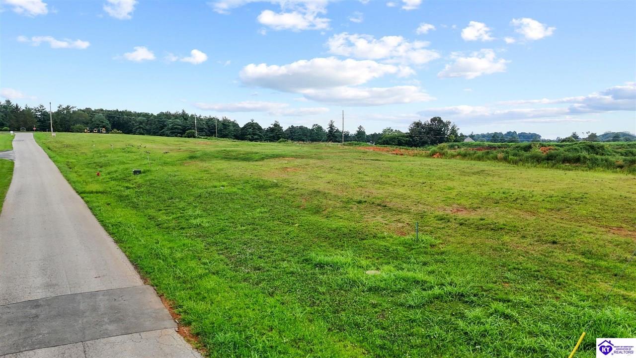 Lot 15 Alton Park Property Photo 8