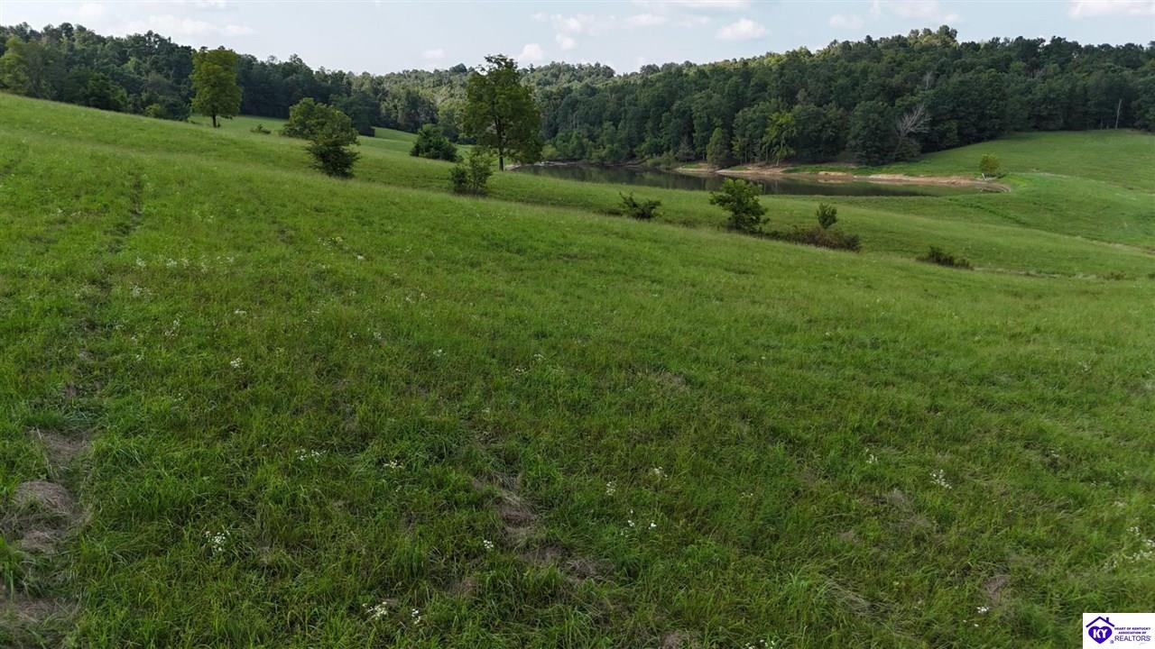 Tract 7 Troutman Lane Property Photo 8