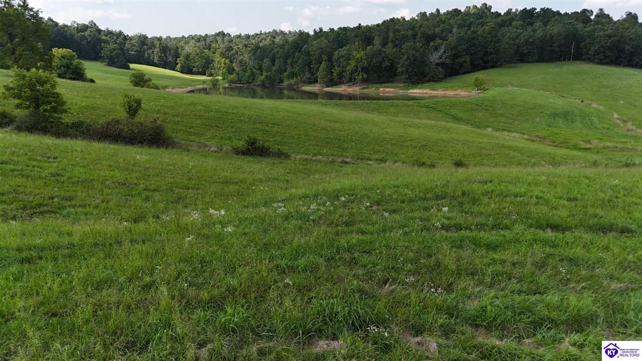 Tract 7 Troutman Lane Property Photo 10