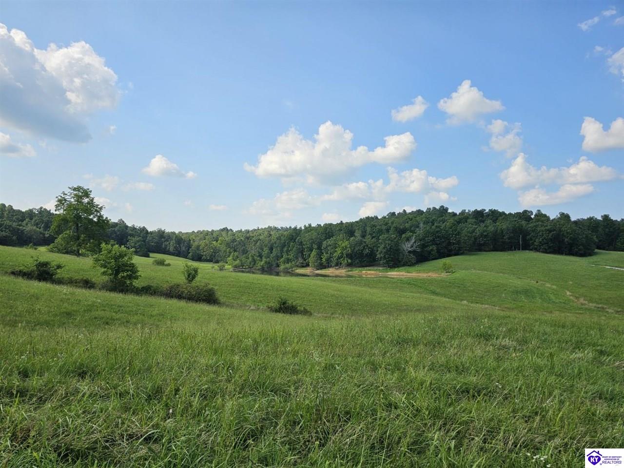 Tract 7 Troutman Lane Property Photo 11