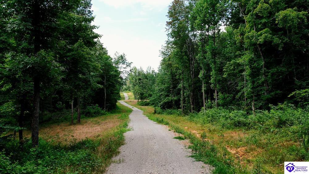 Tract 5 Cook Lane Property Photo 4