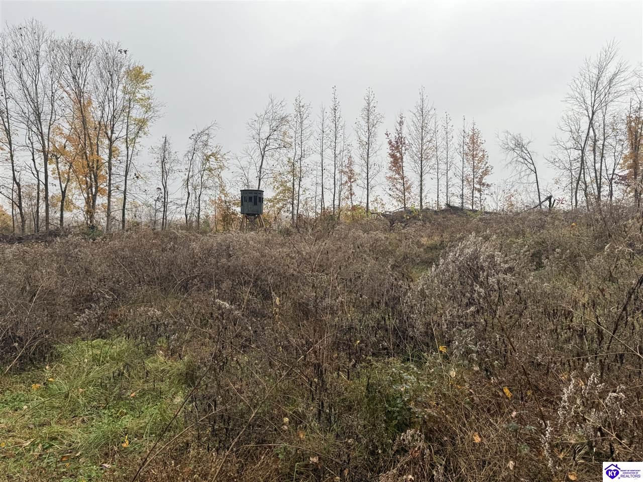 Tract 7 Cook Lane Property Photo 2