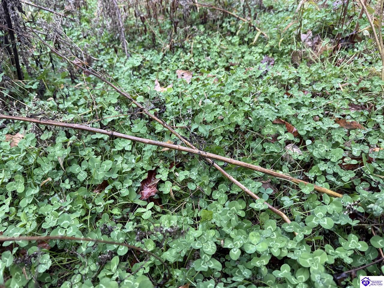 Tract 7 Cook Lane Property Photo 3
