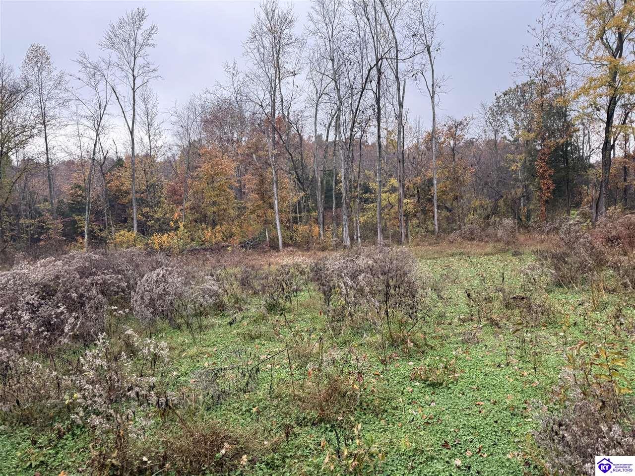 Tract 7 Cook Lane Property Photo 4