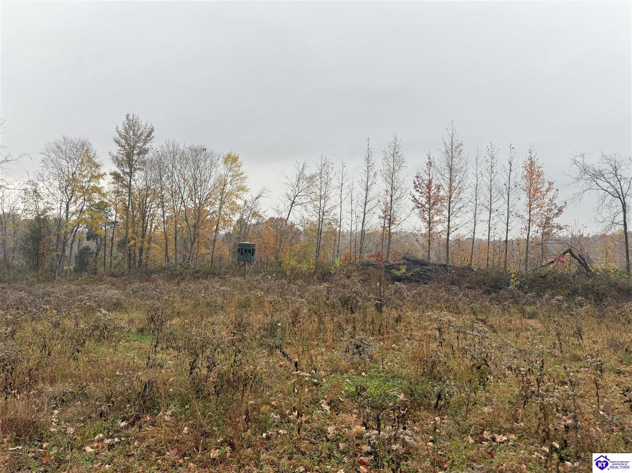 Tract 7 Cook Lane Property Photo 5