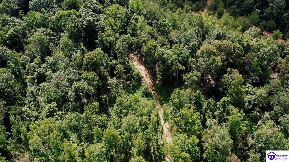 Tract 7 Cook Lane Property Photo 11