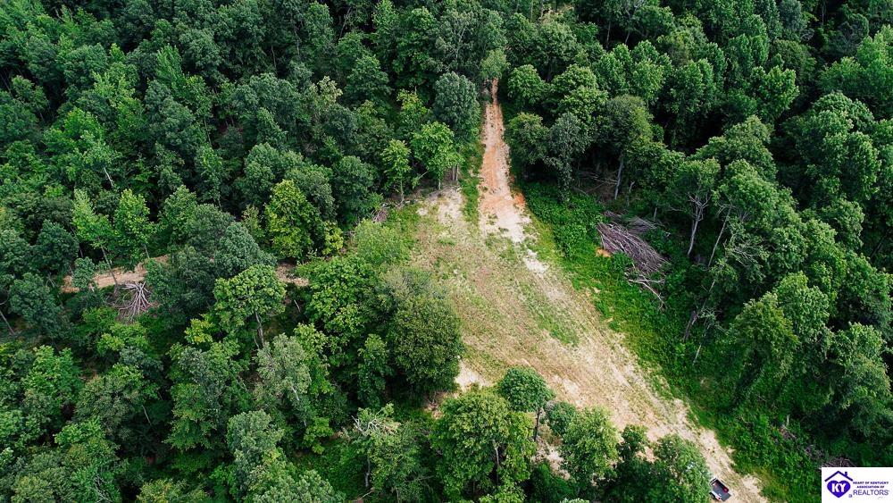 Tract 7 Cook Lane Property Photo 12