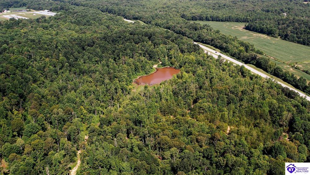 Tract 7 Cook Lane Property Photo 16