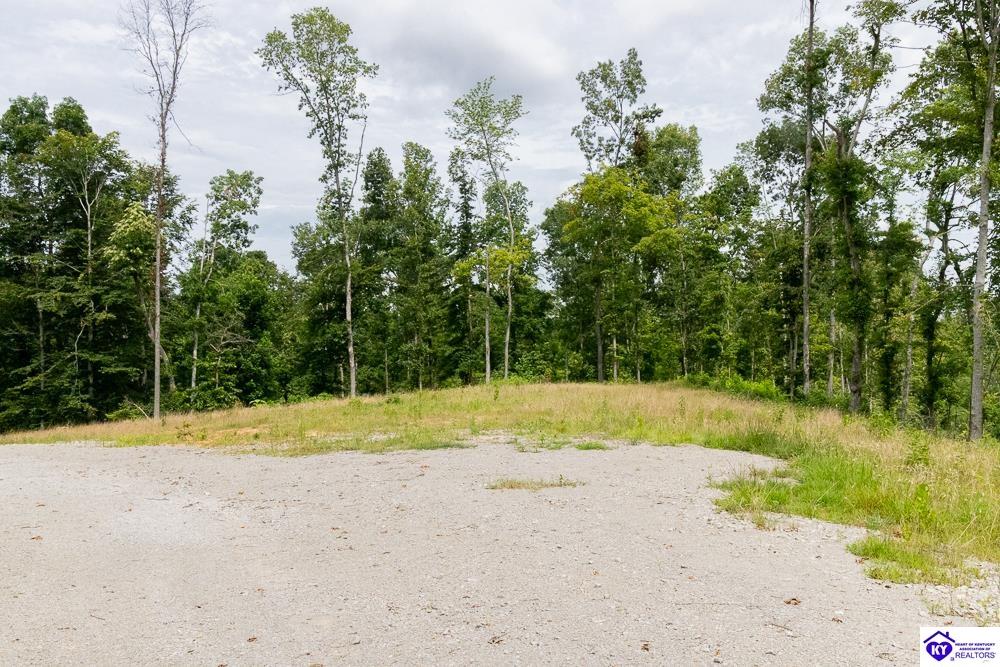 Tract 7 Cook Lane Property Photo 20