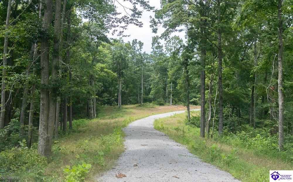 Tract 7 Cook Lane Property Photo 21