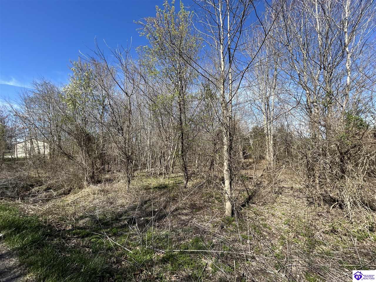 7697 Highway 1073 Property Photo 2