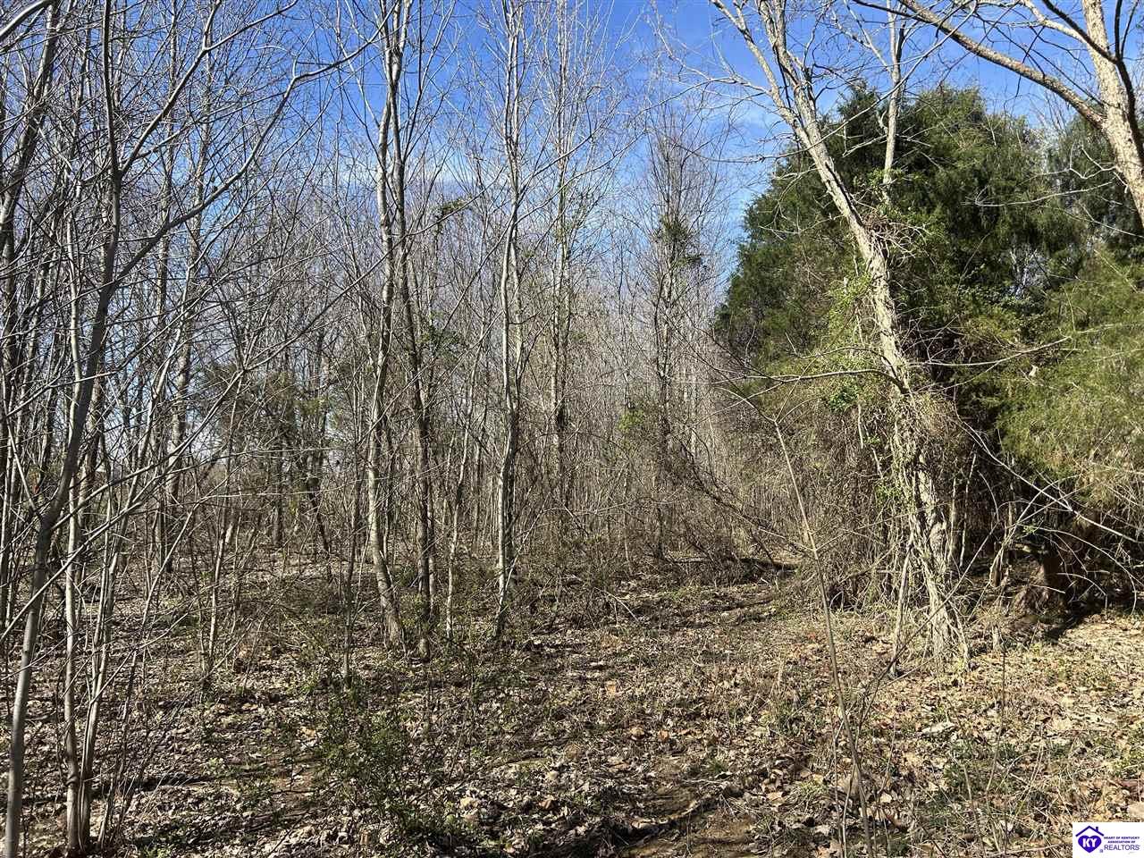 7697 Highway 1073 Property Photo 4