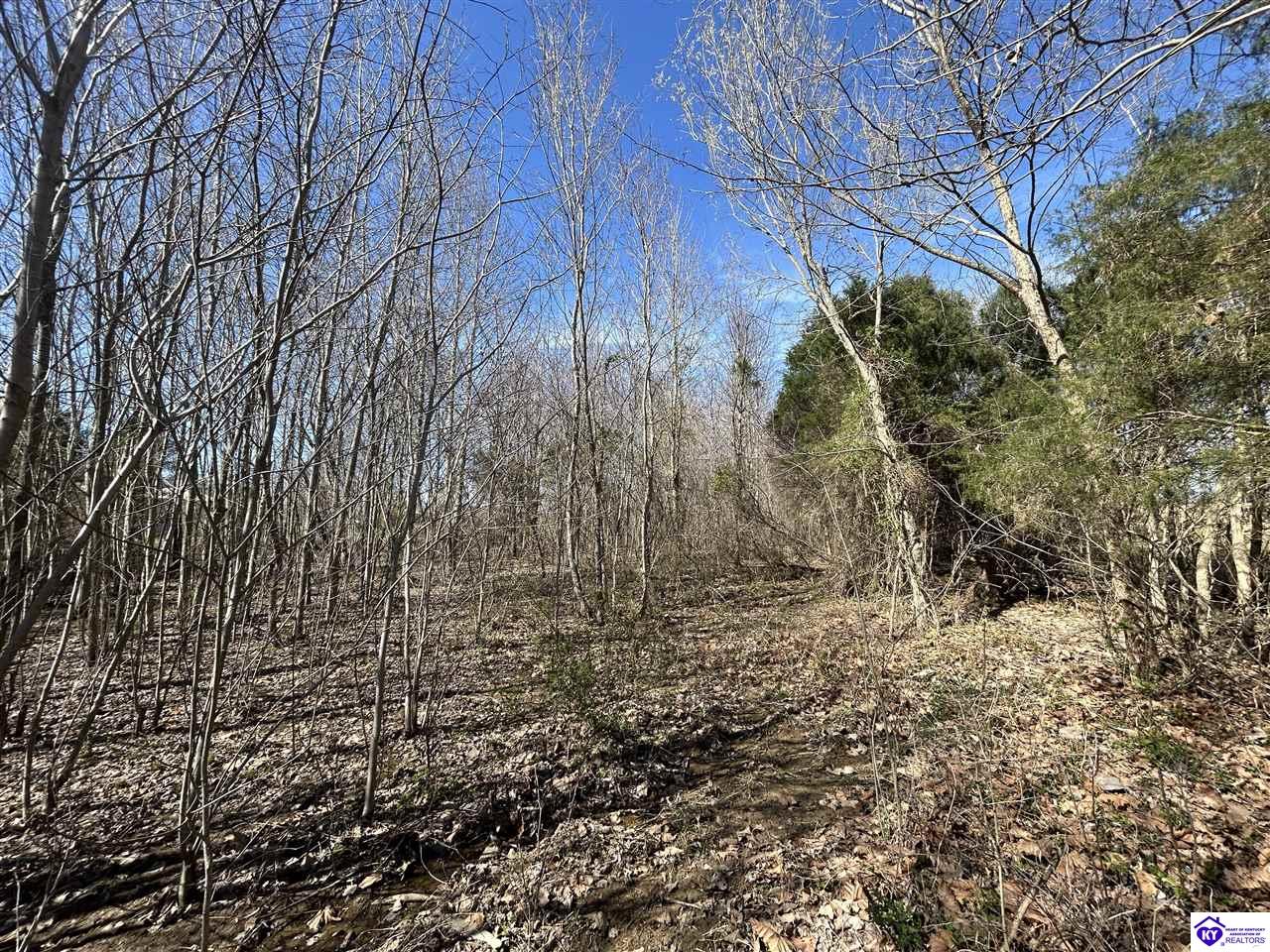 7697 Highway 1073 Property Photo 5