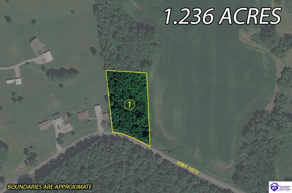 7697 Highway 1073 Property Photo 8