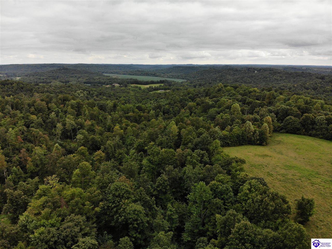 2003 Tick Ridge Road Property Photo 13