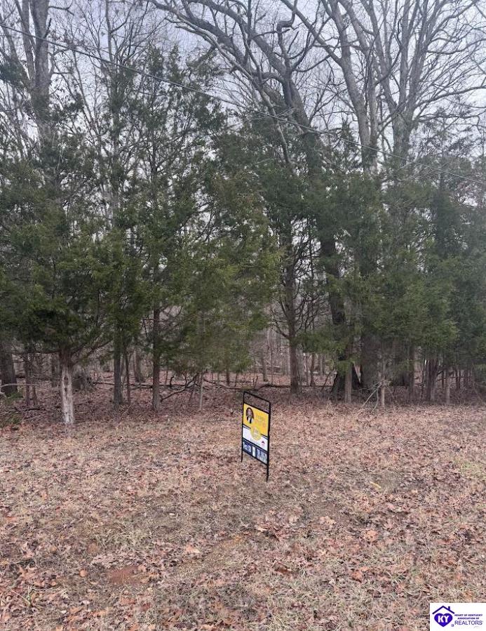 Lot 42 Redwing Road Property Photo 2