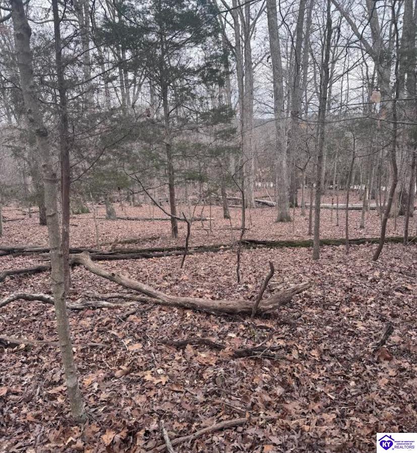 Lot 42 Redwing Road Property Photo 3