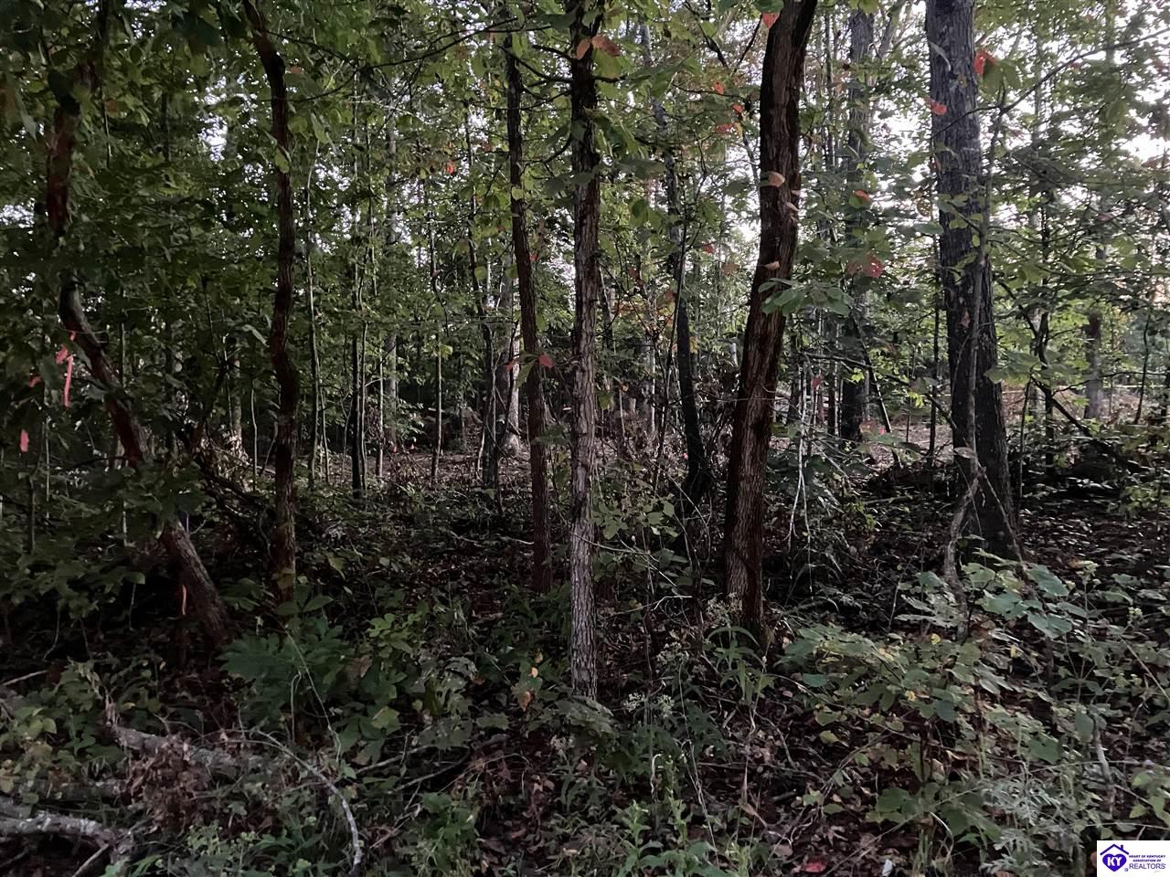 Rock Creek Road Property Photo 1