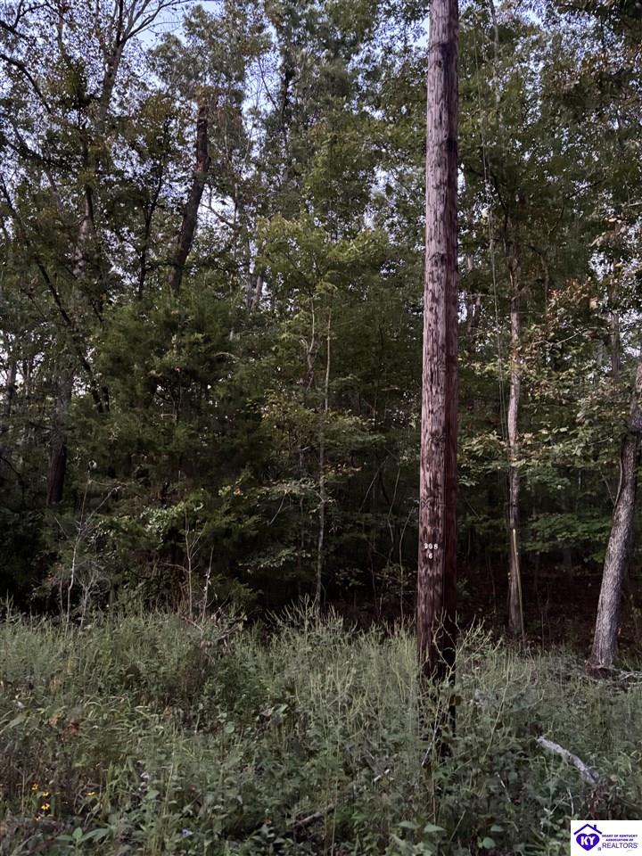 Rock Creek Road Property Photo 2