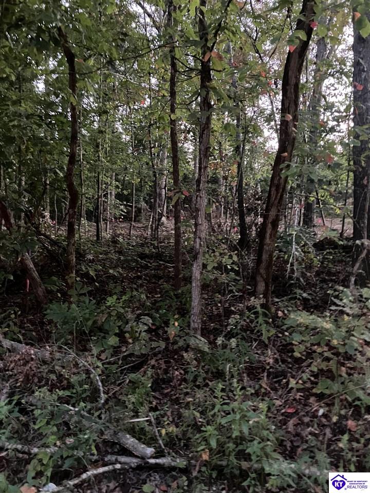 Rock Creek Road Property Photo 4