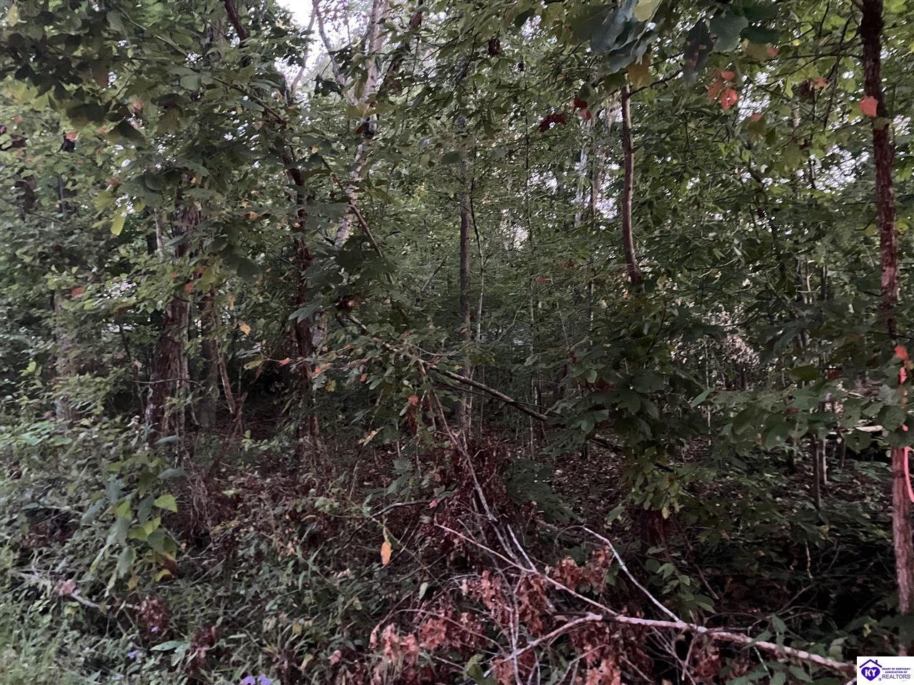 Rock Creek Road Property Photo 5
