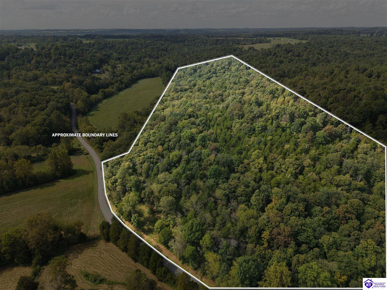 2728 Constantine Road Property Photo 6
