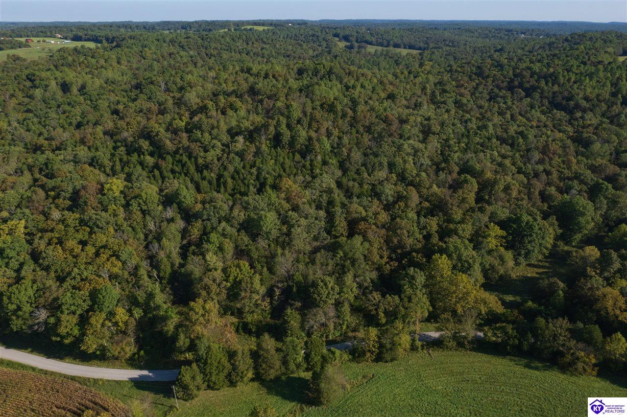 2728 Constantine Road Property Photo 14
