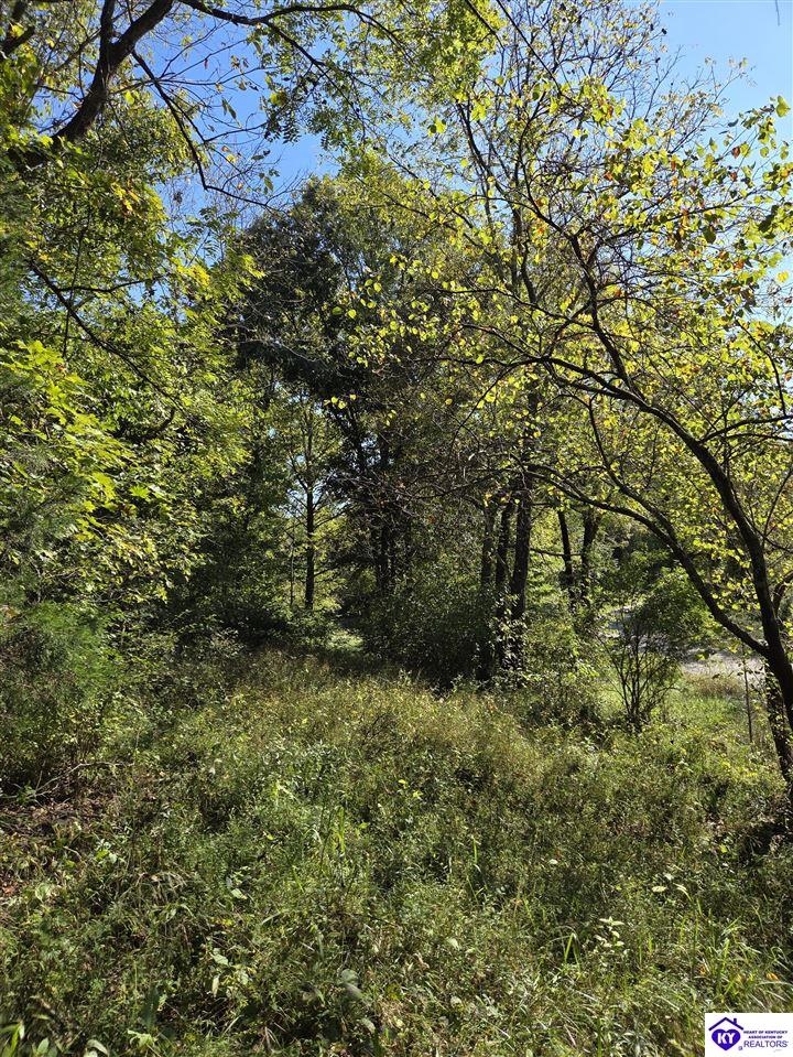 2728 Constantine Road Property Photo 17