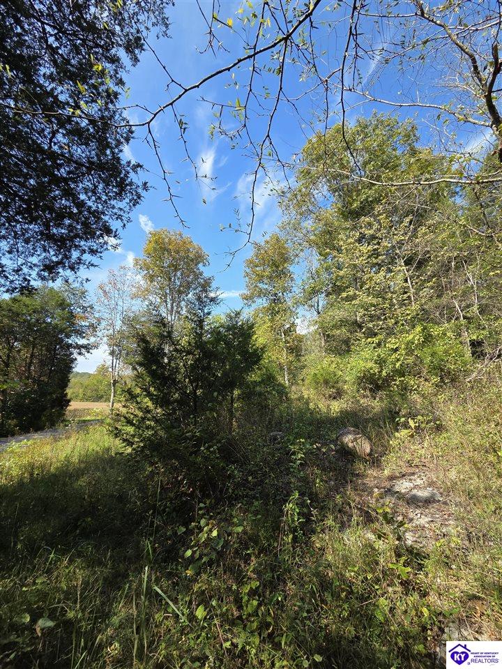 2728 Constantine Road Property Photo 23