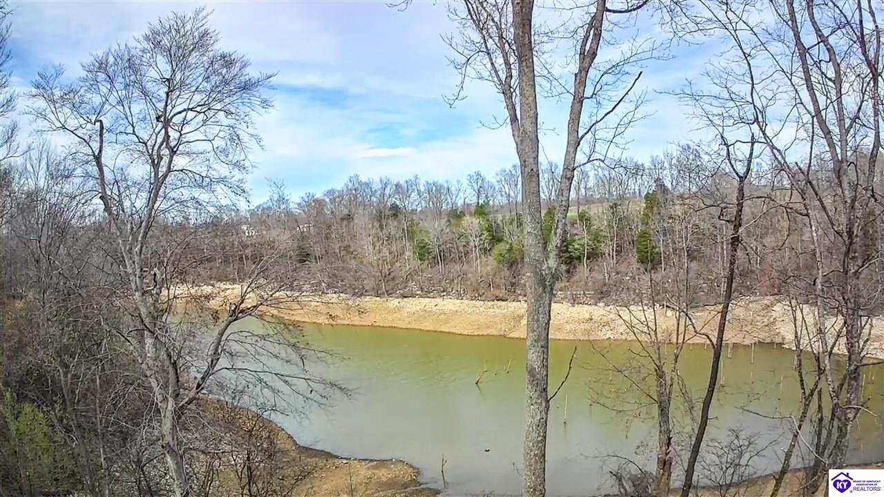 16780 Cub Run Highway Property Photo 33