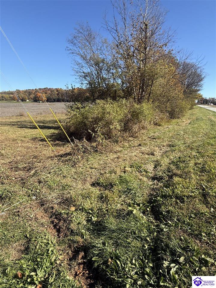 Lot #4 Highway 60 Property Photo 5