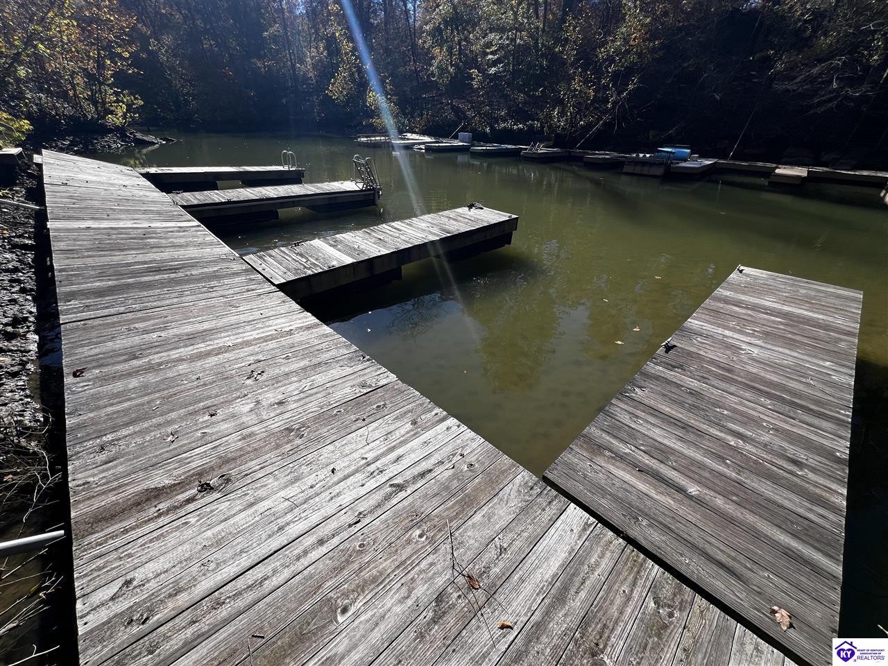 170 Moutardier Woods Road Property Photo 34