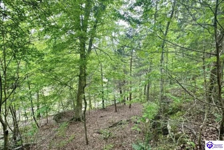 2212 Duff Road Property Photo 14