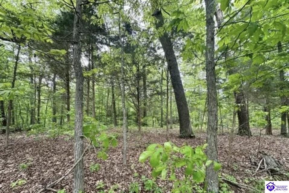 2212 Duff Road Property Photo 19
