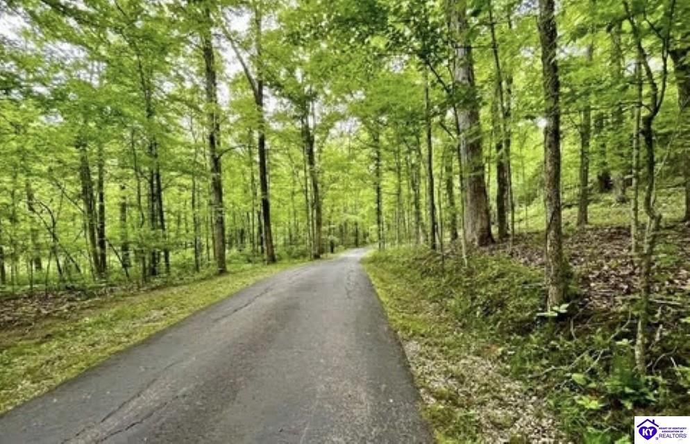 2212 Duff Road Property Photo 21