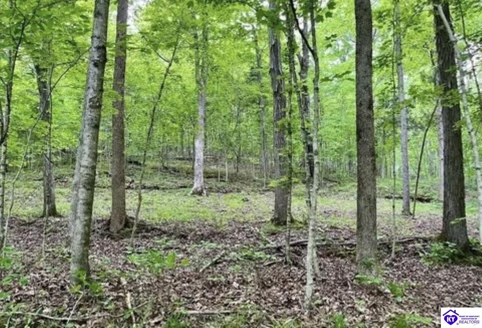 2212 Duff Road Property Photo 22