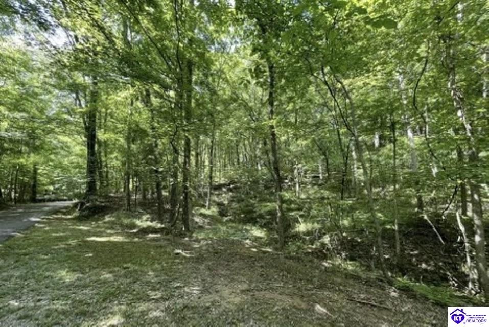 2212 Duff Road Property Photo 24