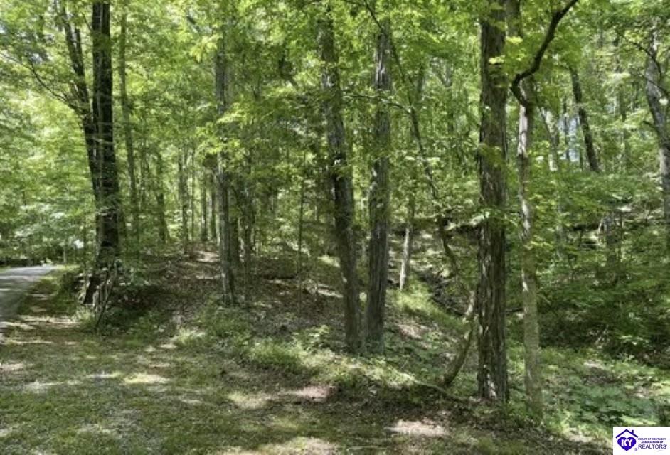 2212 Duff Road Property Photo 25
