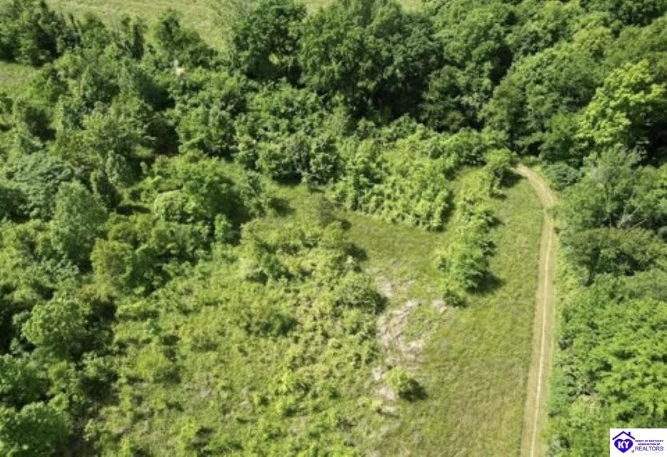 2212 Duff Road Property Photo 31