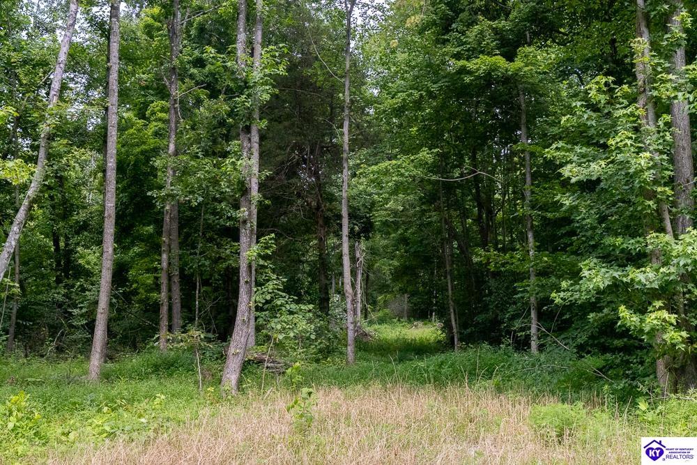 Tract 14 Cook Lane Property Photo 4