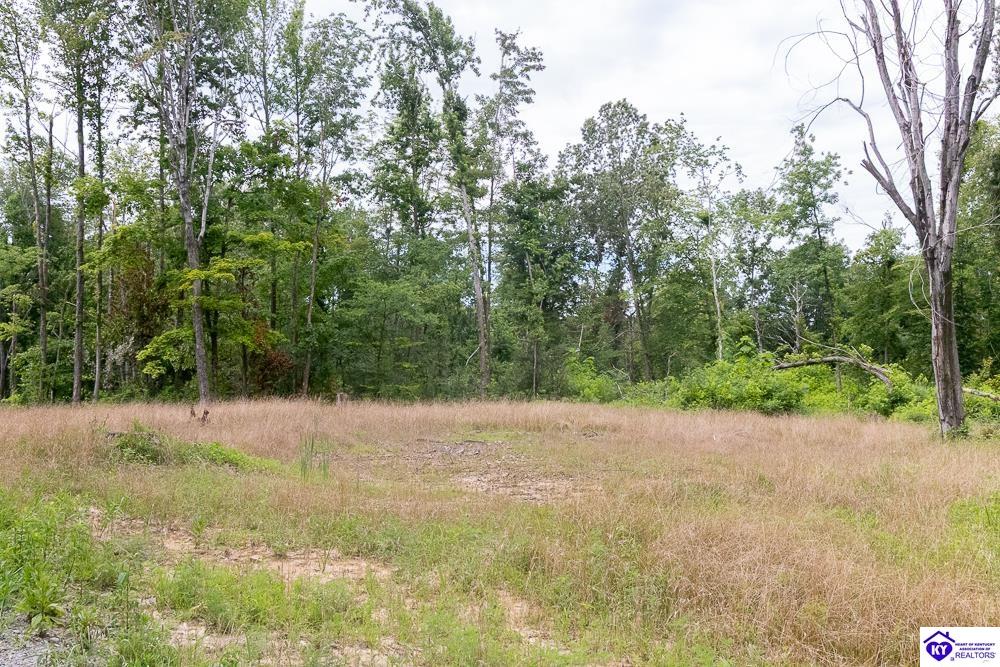 Tract 14 Cook Lane Property Photo 5